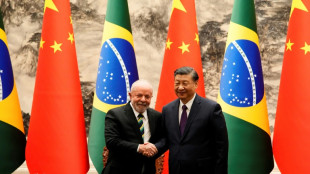 Xi et Lula exhortent les pays développés à tenir leurs promesses financières sur le climat