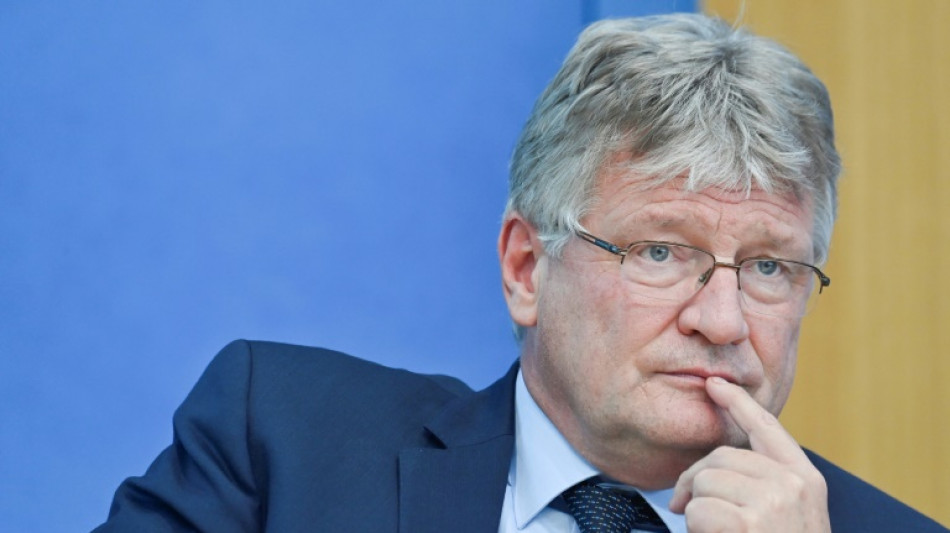 EU-Parlament entzieht Ex-AfD-Chef Meuthen die Immunität