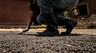 Ouganda: une mouche au secours des agriculteurs touchés par la hausse des prix des engrais