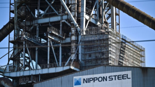 Japan PM tells Biden 'strong' concerns over steel deal