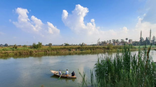 Schulze besucht vor Klimaberatungen Entwicklungsprojekte im Nildelta