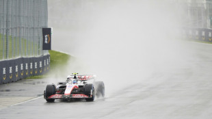 Schumacher and Zhou celebrating in the rain