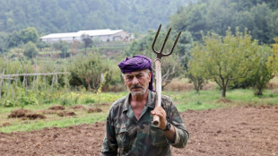 Heat, drought, fires threaten Lebanon's northern forests