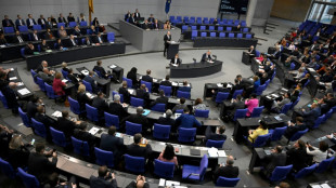 Bundestag setzt Haushaltswoche mit Debatten über Arbeit und Inneres fort