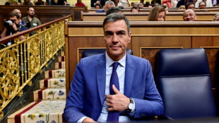 El rey inicia consultas hacia la formación de un nuevo gobierno en España