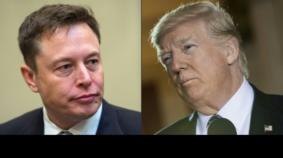 ¿Regresará Donald Trump al Twitter de Elon Musk?