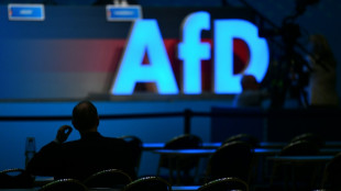 SPD und Grüne sehen Gruppenantrag zu AfD-Verbotsverfahren kritisch