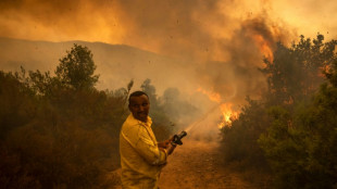 Un muerto y un herido en un nuevo incendio forestal en Marruecos