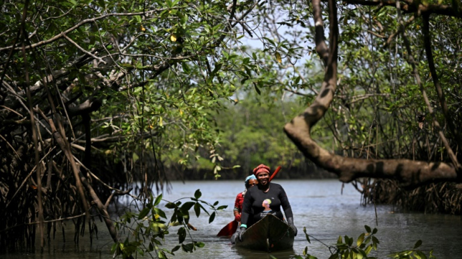 Colombie: la victoire de populations locales pour protéger leur environnement préservé