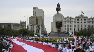 "Marcha por la Paz" pide el fin de las protestas contra nuevo gobierno de Perú