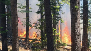 Aux Etats-Unis, un incendie hors de contrôle menace les séquoias géants du parc de Yosemite