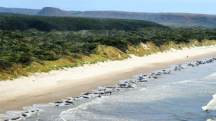 About 200 pilot whales perish on Australian beach