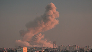 Blinken de nuevo en Oriente Medio, en busca de una tregua en Gaza