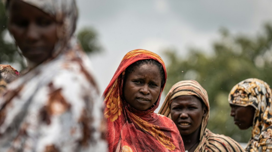 'Barely anyone left': Sudan's El-Fasher devastated by fighting