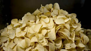 Verbraucherschützer: Weiterhin billigeres Palmöl in Kartoffelchips und Pommes