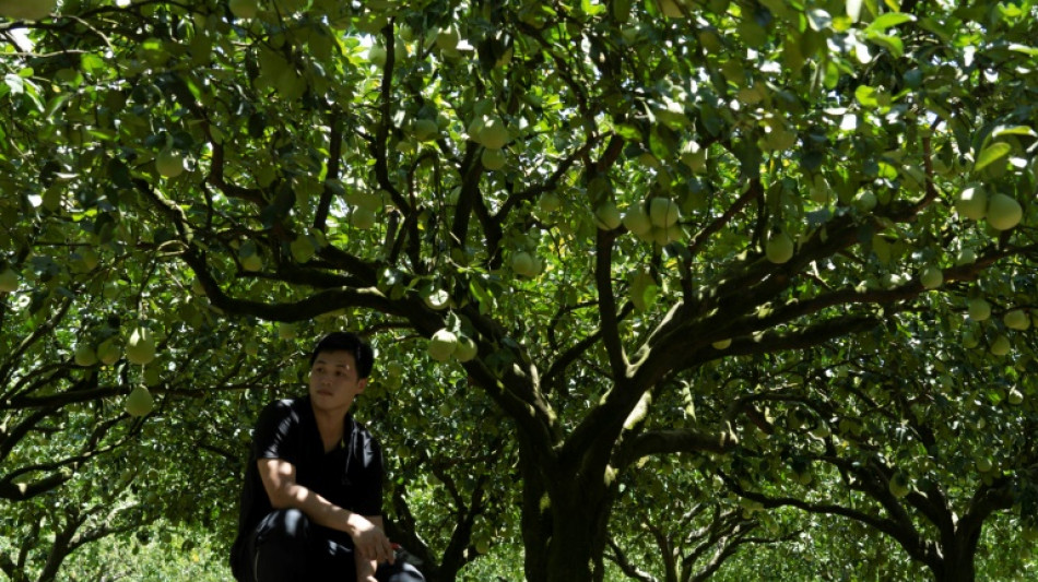 Pescadores y agricultores de Taiwán sienten el azote de las sanciones chinas