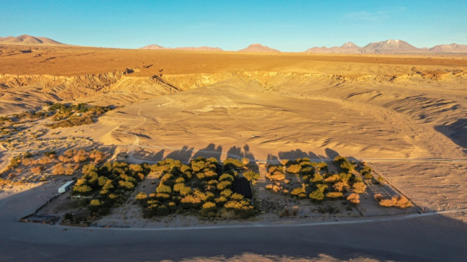 Soleil, aridité, altitude... le désert d'Atacama dans un verre de vin