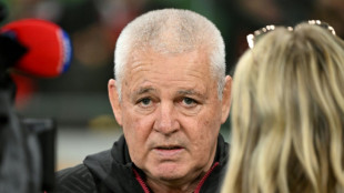 Welsh rugby's future more important to Gatland than saving his job