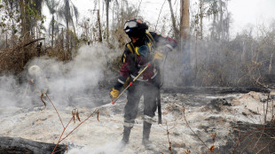 Dal Brasile alla Bolivia, è record di incendi in Sud America