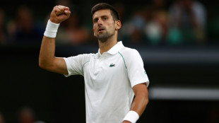 Djokovic in 13th Wimbledon quarter-final as Federer eyes 'one more time'