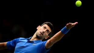 Tennis: Djokovic prend ses aises à Paris