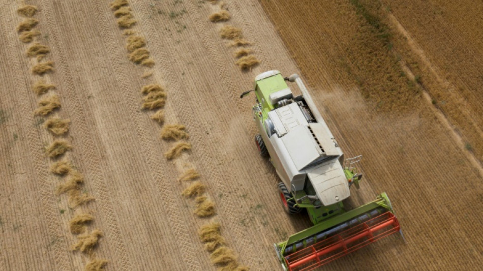 Les députés LR poussent leur texte sur les retraites agricoles