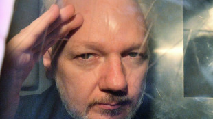 El abogado de Assange defiende la libertad de información para evitar su extradición a EEUU