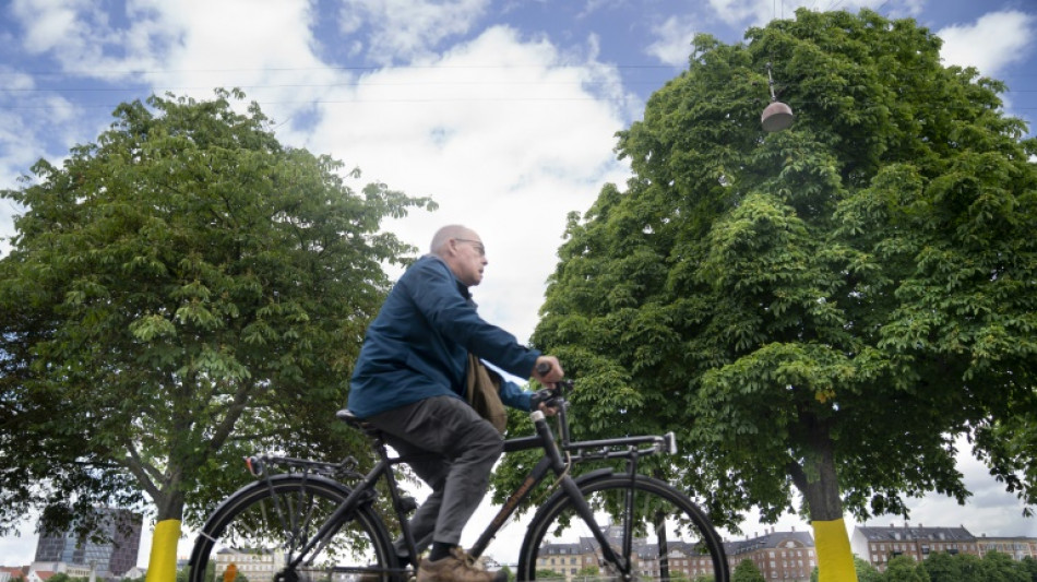 Cycling in Danish DNA as Copenhagen readies for Tour de France