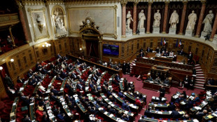 Le traité Ceta en sursis au Sénat, piège pour l'exécutif