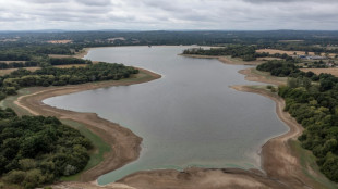 L'Angleterre a connu son été le plus chaud jamais enregistré