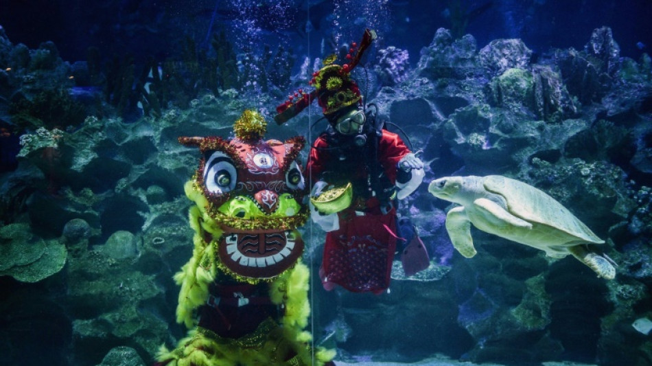 Underwater lion dance at Malaysian aquarium ahead of Lunar New Year