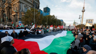 Mehrere tausend Teilnehmer bei pro-palästinensischer Demonstration in Berlin