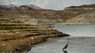 Washington kürzt Wasseranteil aus Colorado River für Bundesstaaten und Mexiko