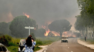 Plus de 3.000 campeurs évacués lors d'un violent incendie dans les Pyrénées-Orientales