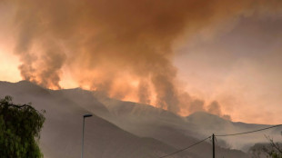 El incendio en la isla española de Tenerife sigue sin control