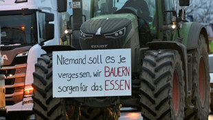 Allemagne: les agriculteurs en colère perturbent le trafic routier