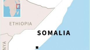 Shabaab claims mortar attack as Somalia's new parliament meets 