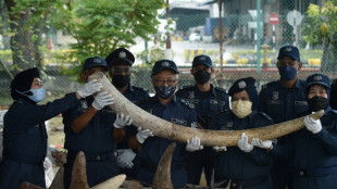 Malaysia seizes animal parts worth $18 mn