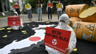 Japón planea construir reactores nucleares de nueva generación