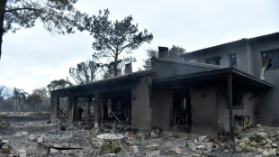 Un violent incendie fixé après avoir ravagé plusieurs centaines d'hectares dans les Pyrénées-Orientales