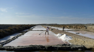 En la bahía de Cádiz, las salinas milenarias recuperan esplendor