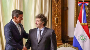 "Somos invencibles", dice el presidente paraguayo tras una reunión con el argentino Milei