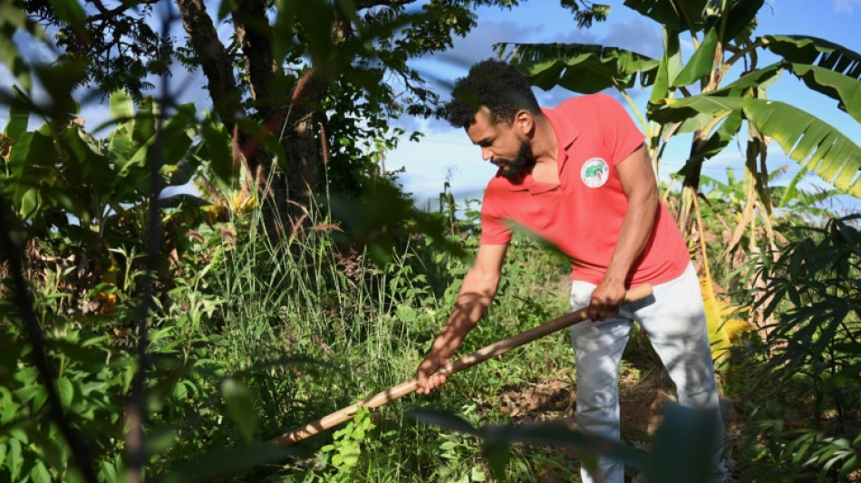 Sans-terre contre agronégoce, tensions rurales dans le Brésil de Lula