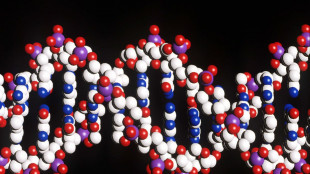 Nel Dna delle cellule persistono per anni danni non riparati