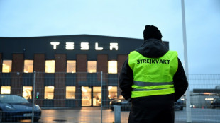 Suède: les dockers se joignent par solidarité à la grève contre Tesla