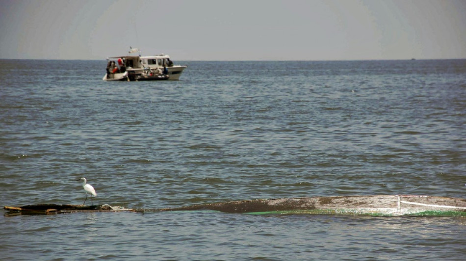 Al menos 19 muertos en accidente aéreo en el lago Victoria en Tanzania 