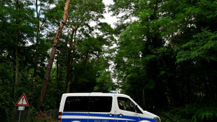 Behörden stellen Suche nach vermeintlicher Löwin am Berliner Stadtrand ein