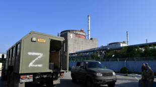 Rusia advierte de un posible "acto subversivo" de Ucrania en la central nuclear de Zaporiyia