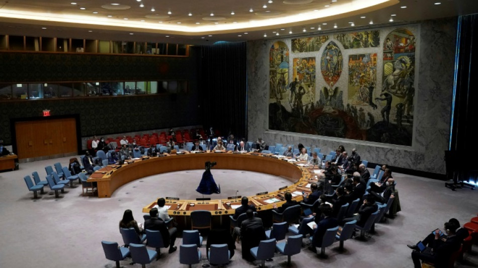 UN Security Council votes for new Somalia peacekeeping force