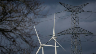 Un observatoire pour documenter l'impact des éoliennes et panneaux solaires sur la nature